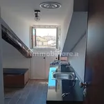 Rent 1 bedroom apartment of 30 m² in Turin