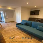 Rent 1 bedroom apartment in Saint-Étienne