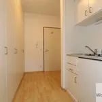 Rent 1 bedroom apartment of 30 m² in Nuremberg