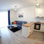 Rent 1 bedroom apartment of 30 m² in Wrocław