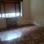 Rent 3 bedroom apartment of 110 m² in San Marco Argentano