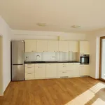 Rent 2 bedroom apartment of 57 m² in Jihlava