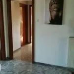 Rent 3 bedroom apartment of 90 m² in Pescara