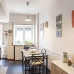 Rent 1 bedroom apartment in rome