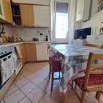 Rent 4 bedroom apartment of 80 m² in Roma