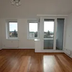 Pronajměte si 1 ložnic/e byt o rozloze 35 m² v Velký Osek