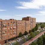 Rent a room in madrid