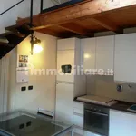 Rent 3 bedroom apartment of 90 m² in Turin