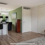 Rent 6 bedroom house of 132 m² in Techum