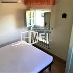 Rent 1 bedroom apartment of 60 m² in pisa