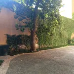 Rent 2 bedroom apartment of 75 m² in Milano