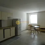 Rent 1 bedroom apartment of 35 m² in Hradec Králové