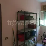 Rent 7 bedroom apartment of 70 m² in Isola di Capo Rizzuto