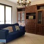 Rent 3 bedroom apartment of 66 m² in Turin