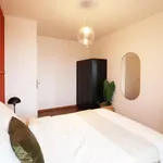 Rent 6 bedroom apartment in Lille