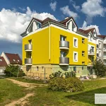 Rent 1 bedroom apartment in Pardubice