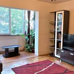 Rent 3 bedroom apartment of 67 m² in Timisoara