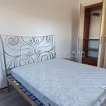 Affitto 1 camera appartamento di 50 m² in Pisa Https://www.studiocasaimmobiliare.it/it/596158 Affitto Appartamento San Giuliano Terme Ghezzano