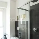 Rent 2 bedroom apartment of 49 m² in Milano