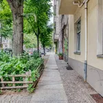 Rent 3 bedroom apartment of 79 m² in Berlin