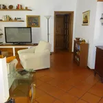 Rent 1 bedroom apartment of 65 m² in Arezzo