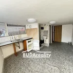 Rent 1 bedroom apartment of 17 m² in Zlín