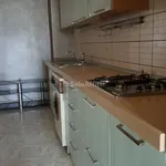 Rent 2 bedroom apartment of 45 m² in Turin