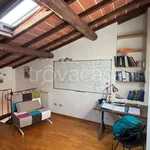 Rent 1 bedroom apartment of 50 m² in Pisa