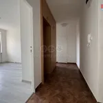 Rent 2 bedroom apartment of 58 m² in Karviná