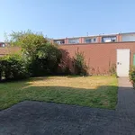 Huur 3 slaapkamer appartement in Antwerpen