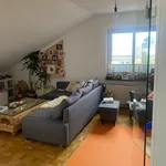 Rent 2 bedroom apartment of 67 m² in Bonn