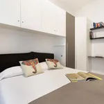 Rent 1 bedroom apartment in Milan