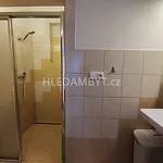 Rent 1 bedroom apartment of 33 m² in Capital City of Prague