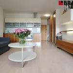 Rent 1 bedroom apartment in Brno