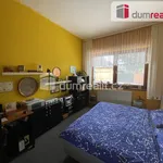 Rent 1 bedroom house of 201 m² in Ratíškovice