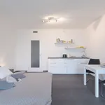 Rent 1 bedroom apartment of 35 m² in Prague