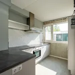 Rent 4 bedroom house of 110 m² in Lelystad