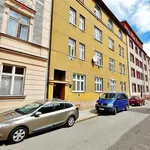 Rent 3 bedroom apartment of 57 m² in Brno-střed