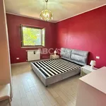 Rent 2 bedroom apartment of 60 m² in Lariano