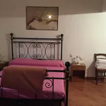 Rent 1 bedroom apartment of 30 m² in Pisa