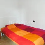 Rent 2 bedroom apartment of 35 m² in Novara