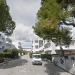 Rent 2 bedroom apartment of 55 m² in Numana