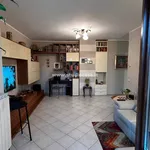 Rent 2 bedroom apartment of 71 m² in Bergamo