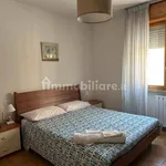 Rent 2 bedroom apartment of 50 m² in Pisa