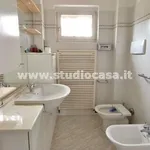 Rent 3 bedroom apartment of 80 m² in Cremona