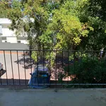 Rent 1 bedroom apartment in Maylands