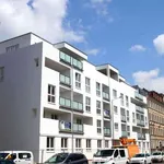 Rent 6 bedroom apartment of 156 m² in Leipzig