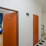 Studio o rozloze 17 m² v prague