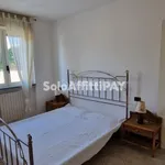 Rent 1 bedroom apartment of 55 m² in vigevano