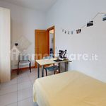 Rent 3 bedroom apartment of 65 m² in Bologna